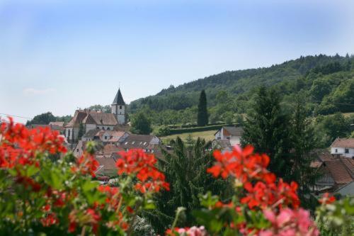 Hotel Dernbachtal Dernbach  Zewnętrze zdjęcie